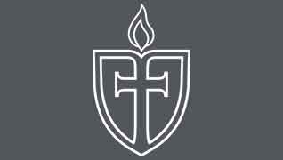 Shield with gray background