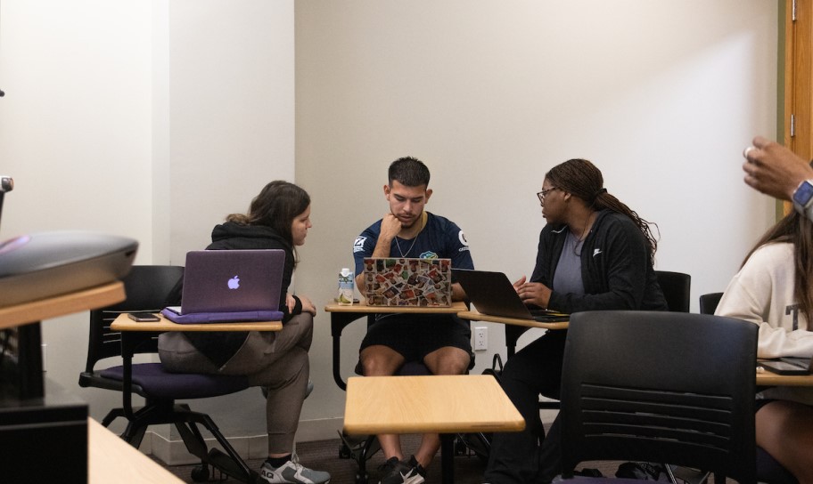 Support from peers and professors