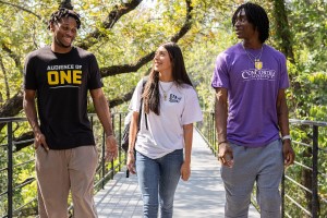 CTX Students crossing a bridge together