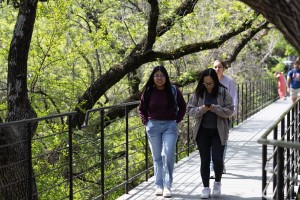 Students enjoying a stroll on campus