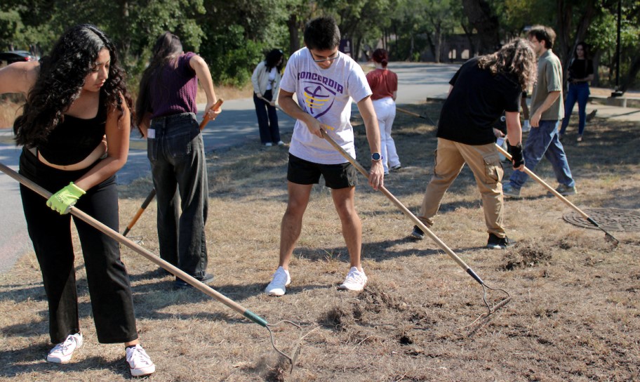 A group of Concordia students working on Tornado Trail