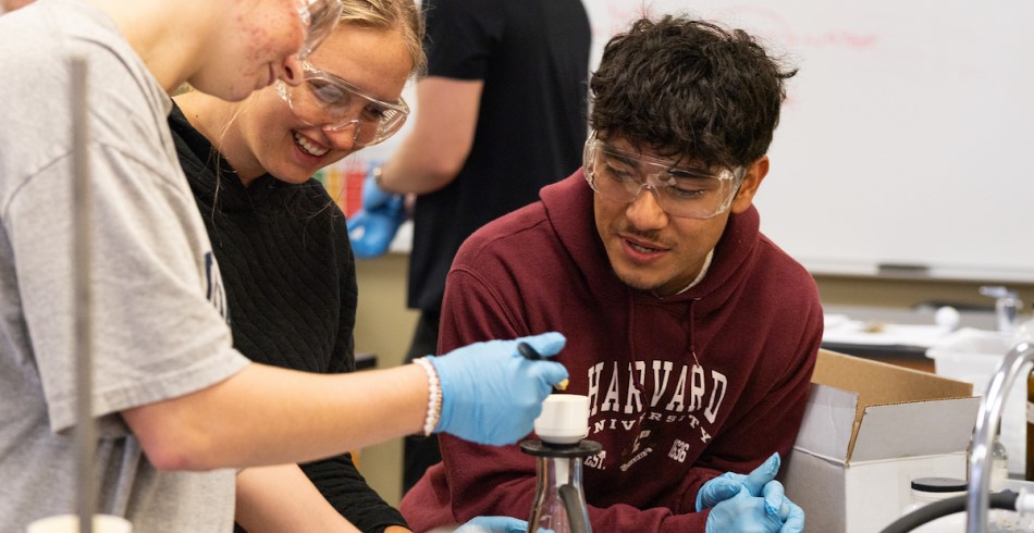 Students working in a biology lab together